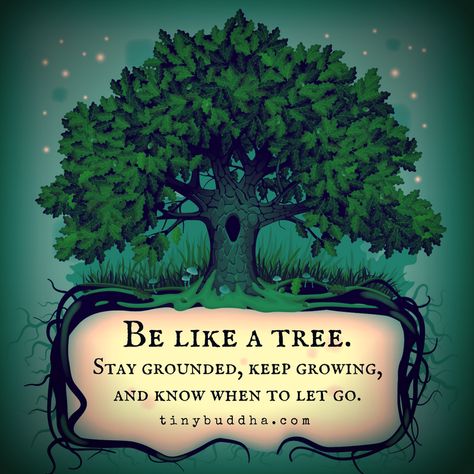 Be like a tree. Stay grounded, keep growing, and know when to let go. When To Let Go, Tree Quotes, Tiny Buddha, Heart Healing, Keep Growing, Stay Grounded, Buddha Quotes, Let Go, Good Advice