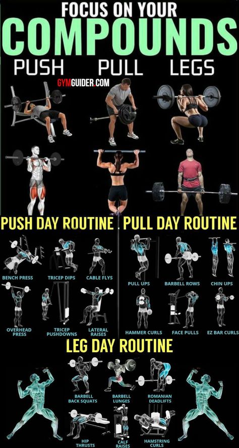 Push Pull Workout Routine, Push Pull Legs Workout, Pull Workout, Push Pull Workout, Fitness Studio Training, Push Pull Legs, Bolesti Chrbta, Push Day, Gym Antrenmanları