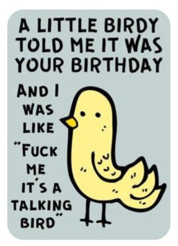 Sarcastic Happy Birthday, Sarcastic Birthday Wishes, Sarcastic Birthday, Funny Happy Birthday Wishes, Birthday Greetings Funny, Birthday Greetings Friend, Happy Birthday Quotes Funny, Birthday Wishes Funny, Happy Birthday Meme