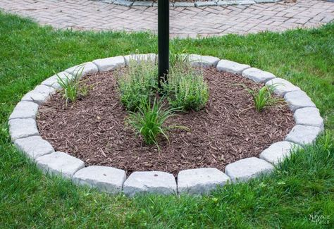 How to Create a Perfect Landscape Ring Front Yard Shrubs, Garden Design Front Yard, Front Yard Garden Ideas, Yard Garden Ideas, Circle Landscape, Landscape Bricks, Tree Circle, Landscaping Around House, Landscaping Around Trees