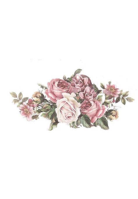 Винтажный цветочный клипарт pinterest flower 1 - 734 X 1058 Decoupage Printables, Foto Transfer, Rose Frame, Decoupage Vintage, Flower Background Wallpaper, Floral Artwork, Flower Clipart, Vintage Printables, Decoupage Paper