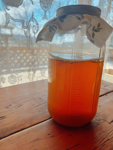 How to Start Your Own SCOBY Make Your Own Kombucha, Ranch Recipes, Make Kombucha, Kombucha Starter, Kombucha Scoby, Homemade Kombucha, Gallon Glass Jars, Gallon Jars, Kombucha Tea