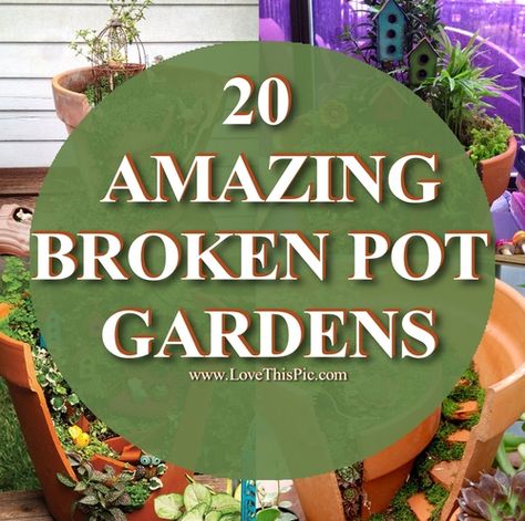 Thinking of throwing away that broken garden pot?  Well think again!  Turn that broken garden pot into a beautiful garden accent with one of the diy garden pot crafts, garden creative diy gardening do it yourself crafty garden ideas diy garden garden crafts garden pots broken pot garden Broken Pot Garden, Garden Ideas Diy, Fairy Pots, Terra Cotta Pots Garden, Fairy Garden Pots, Teacup Gardens, Front Garden Design, Tiered Garden, Pot Crafts