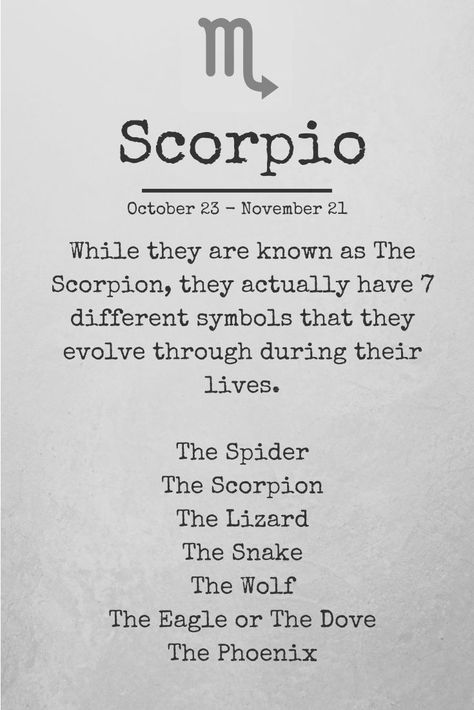 All About Scorpio, Zodiac Quotes Scorpio, Scorpio Art, Astrology Scorpio, Scorpio Traits, The Scorpio, Scorpio Love, Scorpio Zodiac Facts, Scorpio Quotes