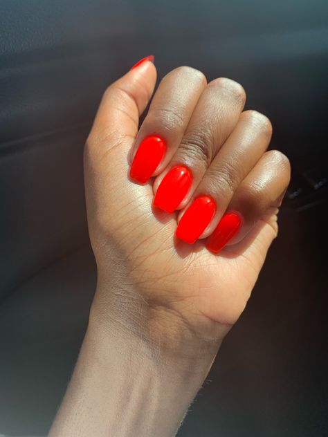 #brightsummernails #neon #blackgirlnails #nails #acrylicnails #orangenails #brownskin #orange #anc #summer #summernails #bright Nail Art For Winter, Nails On Brown Skin, Nails Brown Skin, Nails For Dark Skin, Neon Coral Nails, Red Orange Nails, Bright Orange Nails, Short Red Nails, Fresh Hairstyles