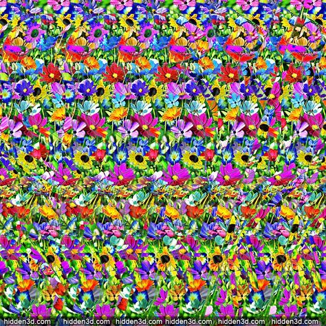 Long Tail : Stereogram Images, Games, Video and Software. All Free! Magic Eye Posters, 3d Hidden Pictures, 3d Stereograms, Magic Eye Pictures, Eye Illusions, Jungle Party Decorations, Magic Illusions, Illusion Pictures, 3d Optical Illusions