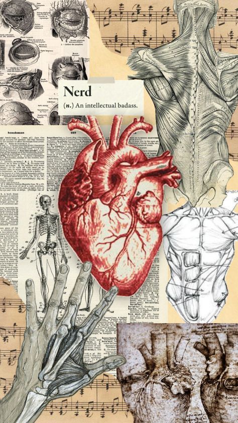 #anatomyaesthetic #darkaestheticwallpaper #vintage #anatomy Vintage Medical Art, Vintage Anatomy, Nursing School Essential, Textiles Sketchbook, Best Naruto Wallpapers, Wallpapers Ipad, Medical Wallpaper, Notebook Cover Design, Medical School Motivation