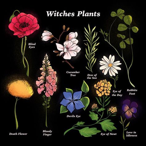 Witches plants and their old world names 🌿✨ #illo #illust #illustration #botanical #witchaesthetic #plants #nature Witches Plants, World Names, Witchy Garden, Tattoo Plant, Goth Garden, W.i.t.c.h Aesthetic, Witch Garden, Gothic Garden, Different Types Of Flowers