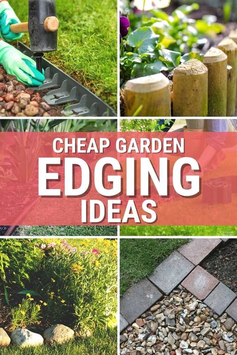 Simple Edging Landscape, Creative Landscape Edging, Simple Garden Borders, Flower Garden Border Ideas, Easy Edging Landscape, Landscape Border Ideas Cheap, Landscape Edging Ideas Diy, Cheap Edging Ideas, Front Yard Edging Ideas