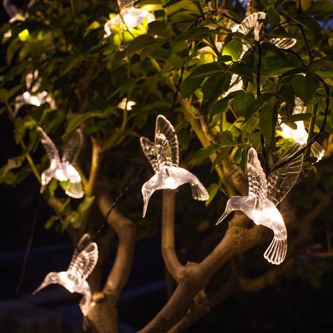 Luxury Lighting Design, Fairy Lights Garden, Outdoor Fairy Lights, Twinkly Lights, Solar Fairy Lights, Hummingbird Garden, Solar Garden, Light Design, Luxury Lighting