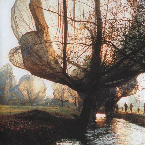 christo and jeanne-claude, wrapped trees (1998) Christo And Jeanne Claude, Jeanne Claude, Tree People, Damir Doma, Inspirational Artwork, Land Art, Love Images, Types Of Art, Abstract Prints