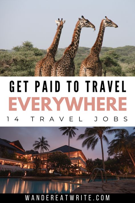 Text: Get paid to travel everywhere: 14 travel jobs; top photo: three giraffes in africa; bottom photo: night view of luxury resort with pool and palm trees Jobs To Do While Traveling, Working While Traveling, Work While Traveling, How To Be A Travel Blogger, Travel Jobs For Women, How To Become A Travel Influencer, Travel Jobs Career Ideas, How To Get Paid To Travel, How To Be A Travel Agent