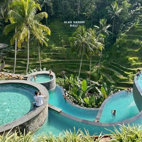 Loving my best bali life ever... @pinterest #bali #baliindonesia #pinterest Bali Indonesia Resorts, Cretya Ubud, Bali Activities, Bali Aesthetic, Bali Travel Photography, Bali Life, Bali Holiday, Bali Baby, Bali Trip