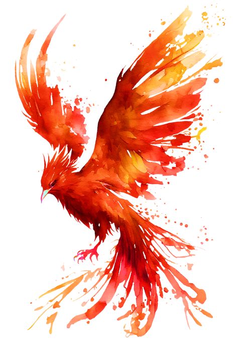 Phoenix Inspiration, Flying Bird Art, Phoenix Watercolor, Phoenix Flying, Phoenix Illustration, Phoenix Painting, Fantasy Queen, Flying Tattoo, Medicinal Herbs Garden