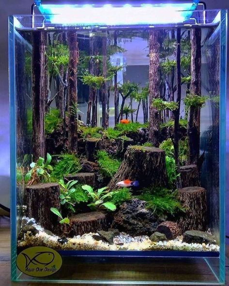 Cool Aquariums, Fish Terrarium, Cool Fish Tank Decorations, Aquascaping Ideas, Aqua Scape, Tank Terrarium, Water Terrarium, Terrarium Tank, Fish Aquarium Decorations