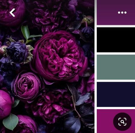 Dark Purple Complimentary Colors, Black And Purple Color Palette, Purple Pallete Color Combinations, Gothic Color Palette, Purple Colour Combination, Jewel Tone Color Palette, Purple Color Combinations, Purple Color Schemes, Purple Color Palettes