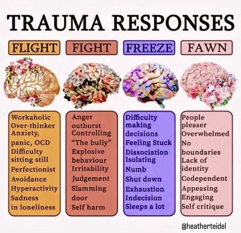 Not Fitting In, Counseling Career, Recovery Road, Biology Aesthetic, Counseling Tips, Psychology 101, Psychology Notes, Healing Journaling, Brain Anatomy