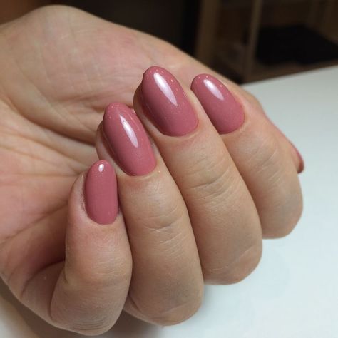 17 Easy Winter Nail Ideas for 2023-2024 - thepinkgoose.com Frosted White Nails, Matte Gray Nails, Dusty Rose Nails, Dusty Pink Nails, Rose Nail Design, Accent Paint, Neutral Polish, Matte Nail Colors, Winter Nail Ideas