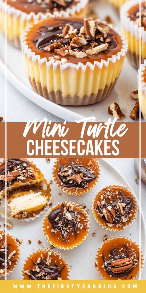 These mini turtle cheesecakes are the perfect blend of chocolate, caramel and nuts combined with creamy cheesecake! Turtle Cheesecake Recipes, Cheesecake Bites Recipe, Mini Turtle, Turtle Cheesecake, Mini Cheesecake Recipes, Cheesecake Mini, Bite Size Desserts, Cheesecake Desserts, Oreo Dessert