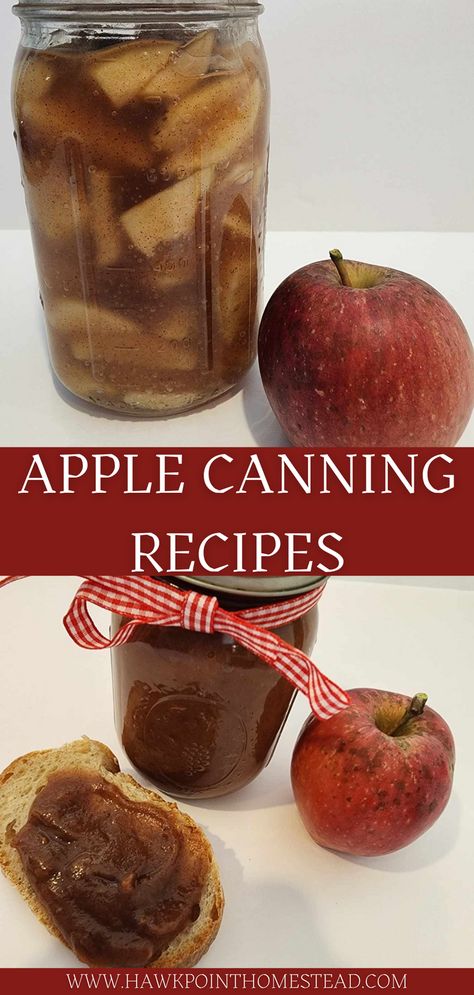 Apple harvest season in the fall is so much fun and there is so many things to do with apples! Apple picking at a local apple orchard is a great fall activity.  Canning apple recipes result in great gifts! Preserving the bounty of the apple harvest to enjoy all winter or all year long is a great way to save money. And these apple canning recipes can be made in minutes. Canning Spiced Apple Rings, Preserving Apples Canning, Fresh Apple Canning Recipes, Different Ways To Freeze Apples, Apple Recipes Canning, Canning Fried Apples, Apple Recipes To Can, Apple Syrup Recipe Canning, How To Preserve Apples