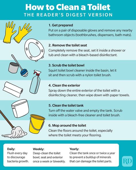 How to Clean a Toilet and Bidet: 8 Easy Steps to Follow Toilet And Bidet, Cleaning Home, Easy Cleaning Hacks, Bujo Ideas, House Cleaning Checklist, Deep Cleaning Tips, Toilet Bowl Cleaner, Cleaning Motivation, Household Cleaning Tips