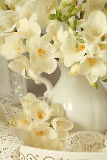 Freesia by Catherine Wood Freesia Flowers, Yellow Cottage, Butter Yellow, White French, Soft Yellow, Pastel Yellow, Mellow Yellow, Shades Of Yellow, Beautiful Blooms