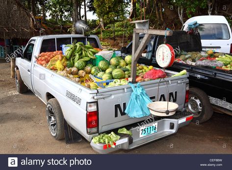 Truck delivering fresh fruit in Santa Catalina , Veraguas Province , Panama - Stock Image Fruit Truck, Own Business Ideas, Mobile Food Trucks, Santa Catalina, Farm Trucks, European Culture, Food Words, Culinary Arts, Fish And Seafood