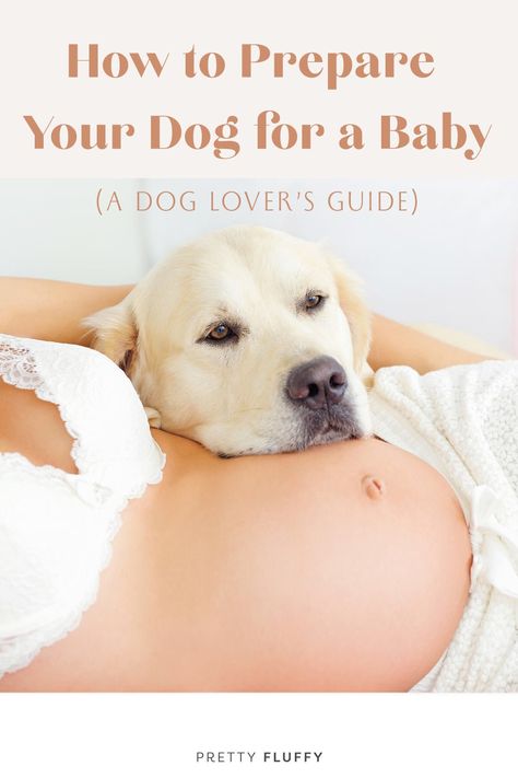 Baby Preparation Checklist, Dog At Home, Living With Dogs, Pregnancy Info, Newborn Mom, Baby Life Hacks, Expecting A Baby, Baby Sounds, Dog Happy