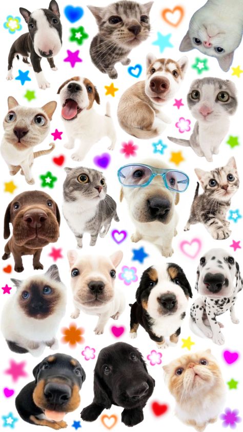 🐶🫶🏼 #wallpaper #collage #y2k #childhood #puppy #kitty #kidcore #early2000s Y2k Childhood, 2000s Wallpaper, Wallpaper Collage, Personalized Dog Collars, 수채화 그림, Silly Dogs, Arte Inspo, Dog Wallpaper, Cute Patterns Wallpaper