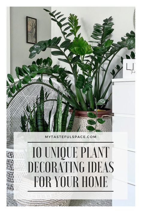 Indoor Plants Styling Living Rooms Bohemian, Modern Interior Design With Plants, Plant Stands For Large Plants, Plants For Interior Design, Decorate House With Plants, Houseplants In Kitchen, Interior Plants Aesthetic, How To Display Plants Indoors Ideas, Unique Plant Display Ideas