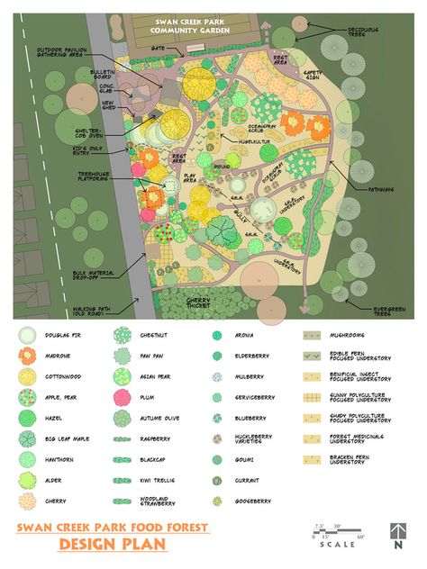 Food Forest Design - Swan Creek Park Food Forest Food Forest Design Backyards, Food Forest Design Layout, Permaculture Food Forest Design, Food Forest Layout Permaculture Design, Mandela Garden, Backyard Orchard Layout, Food Forest Layout, Forest Garden Design, Urban Forest Design