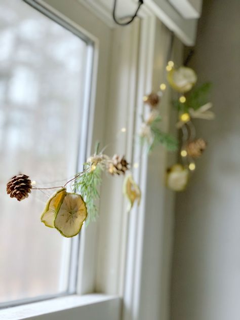 Discover the key factors influencing the longevity of your homemade dried fruit garland. Also learn how to make this dainty dried fruit garland! Dried Apple Garland Diy, Dried Fruit Garland, Cranberry Garland, Natural Garland, Fruit Garland, Christmas Gifts For Teachers, Garland Tutorial, Diy Christmas Garland, Mason Jar Gifts