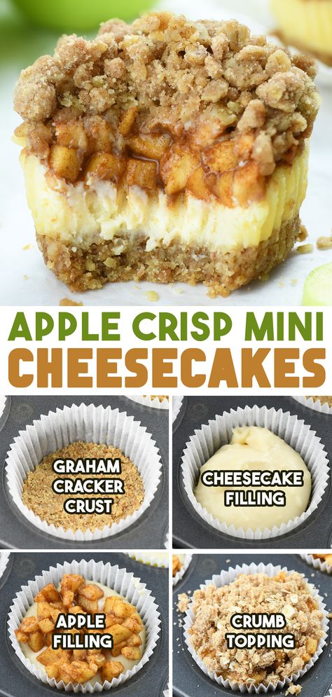 A collage showing a close-up of an Apple Crisp Mini Cheesecake with a crumbly topping, creamy cheesecake filling, and apple pieces, along with step-by-step images of the process: graham cracker crust, cheesecake filling, apple filling, and crumb topping. Easy Thanksgiving Apple Desserts, Deserts To Make On Thanksgiving, Apple Crisp Cheesecake Bites, Thanks Giving Sweet Treats, Apple Cheesecake Muffins, Apple Flavored Desserts, Easy Good Thanksgiving Desserts, Things To Make For Thanksgiving Dessert, Mini Apple Pie Cheesecake Bites