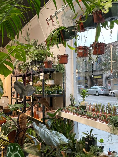 Plant Store Interior, Garden Shop Aesthetic, Small Plant Shop Ideas, Plant Shop Display, Aesthetic Plant Shop, Plant Shopping Aesthetic, Cafe With Plants, Small Plant Shop, Plant Shop Interior