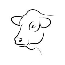 5,100+ Steer Head Drawings Stock Illustrations, Royalty-Free Vector  Graphics & Clip Art - iStock How To Draw A Cow Head, Cow Head Drawing, Cow Line Drawing, Cow Head Silhouette, Cow Outline, Head Drawings, Cow Icon, Steer Head, Cow Drawing