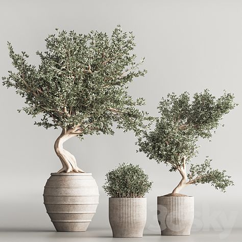 Indoor Plant Set 52 - Indoor - 3D Models Tree Interior, Garden Wall Designs, Tree Vase, Creative Wall Painting, Bonsai Flower, Small House Interior Design, Plants Are Friends, Floral Interior, Bonsai Art