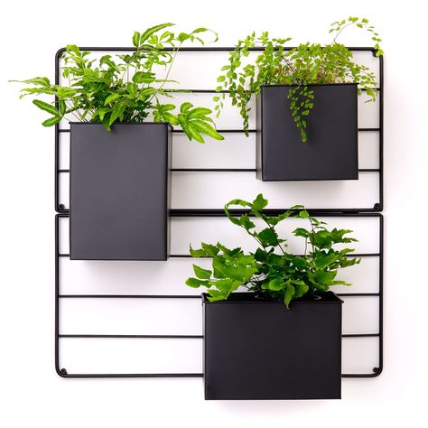 Vertical garden wall