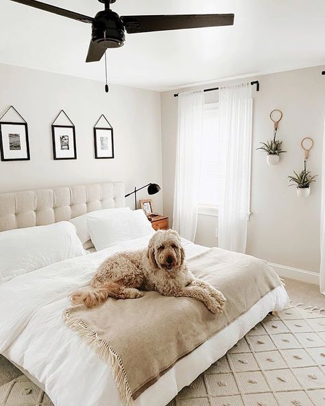 Jaime Carney on Instagram: “My boy knows good bedding. #ad we are all loving our @brooklinen bedding SO much, it’s beautiful and amaaazing quality. Use code Jaime20 to…” Brooklinen Bedding, Bedroom Paint Colors, Bedroom Paint, My Boy, Luxury Linen, Paint Color, Love Is All, Shag Rug, Chaise Lounge