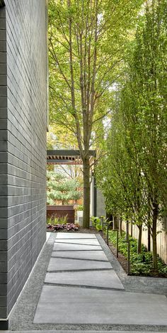 Zinc House, Green Roof System, Outdoor Gardens Design, Landscaping Design, House Landscape, Backyard Design, Backyard Landscaping Designs, Outdoor Design, Modern Garden