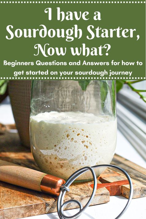 I Have a Sourdough Starter, Now What? - Simple is Gourmet How To Get Started With Sourdough, Baking Sourdough Bread From Starter, How To Cook With Sourdough Starter, Making Bread From Sourdough Starter, Sourdough With Starter Recipe, Easy Beginner Sourdough Bread, How To Begin A Sourdough Starter, Sourdough Recipes From Starter, Steps To Making Sourdough Bread