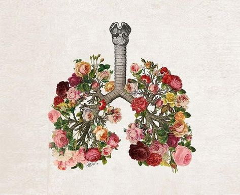 Lungs Art, Tattoo Painting, Healthy Lungs, Bouquet Tattoo, About Relationships, Quotes About, Quote Love, Medical Art, Trendy Flowers