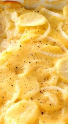 Potato Scallop, Ham And Scalloped Potatoes, Homemade Scalloped Potatoes, Cheesy Scalloped Potatoes Recipe, Easy Scalloped Potatoes Recipe, Best Scalloped Potatoes, Potatoes And Gravy, Scalloped Potatoes Easy, Homemade Ham