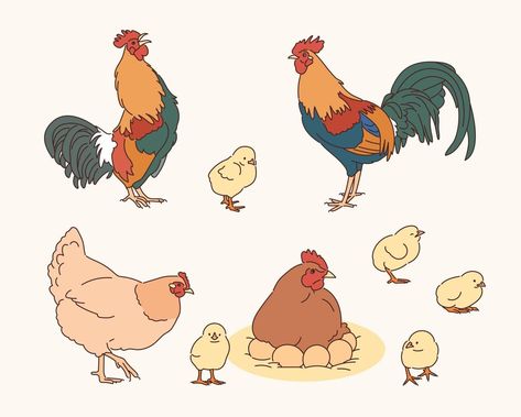 Chicks Illustration, The Rooster, Hens And Chicks, Hen, Rooster, Vector Art, Vector Free, Royalty Free, For Free