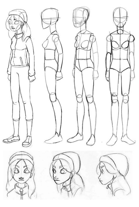 Female Cartoon Anatomy, 2d Simple Character, Figure Turnaround, Elf Cartoon Drawing, Cartoon Reference Poses, Female Character Sheet, Character Design References Sheet, Character Sheet Base, People Sketches