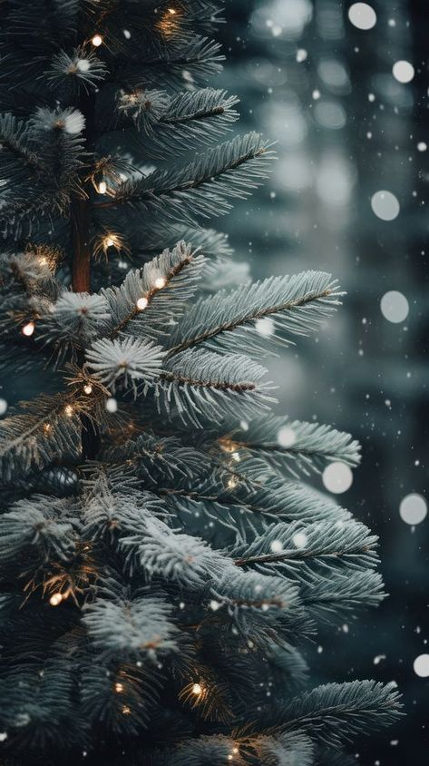 Fir Tree Aesthetics, Its December Wallpaper, Christmas Forest Wallpaper, Spruce Tree Aesthetic, Christmas Forest Aesthetic, Winter Color Aesthetic, Christmas Floral Background, Scottish Christmas Aesthetic, Christmas Nature Wallpaper