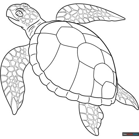 Free Realistic Sea Turtle Coloring Page for Kids Drawings Of Sea Turtles, Sea Turtle Template Printable Free Pattern, Turtle Outline Drawing, Dot Art Templates Free Printable, Stained Glass Sea Turtle Patterns Free, Things To Draw Turtle, Sea Creature Templates Free Printable, Simple Sea Turtle Drawing, Ocean Animal Coloring Pages Free