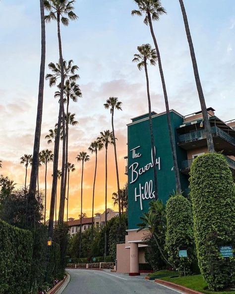 The Beverly Hills Hotel, California 🌴 📷: [instagram.com/calistreetshots] Honeymoon Goals, La Aesthetic, Hollywood Dream, Los Angeles Aesthetic, The Beverly Hills Hotel, Vision Book, La Life, Cali Life, California Vibe