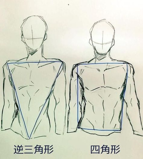 male torso Body Drawing Tutorial, Anatomy Sketches, Body Anatomy, Anatomy Drawing, Body Drawing, Guy Drawing, Anatomy Reference, Chalk Art, Anatomy Art