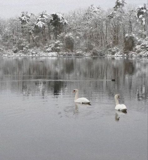 Winter Princess, Mazzy Star, Winter Fairy, I Love Winter, Snow Angels, Winter Scenery, Winter Girls, Snowy Day, Best Seasons