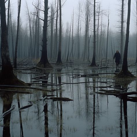 The Dead Forest, Dreams in Frames on ArtStation at https://www.artstation.com/artwork/xDZ6l1 Decaying Forest, Cinematic Forest, Woods Creepy, Evil Forest, Skull Forest, Eerie Forest, Dead Nature, Surreal Forest, Demon Realm